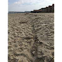 September high tide Virginia Beach image